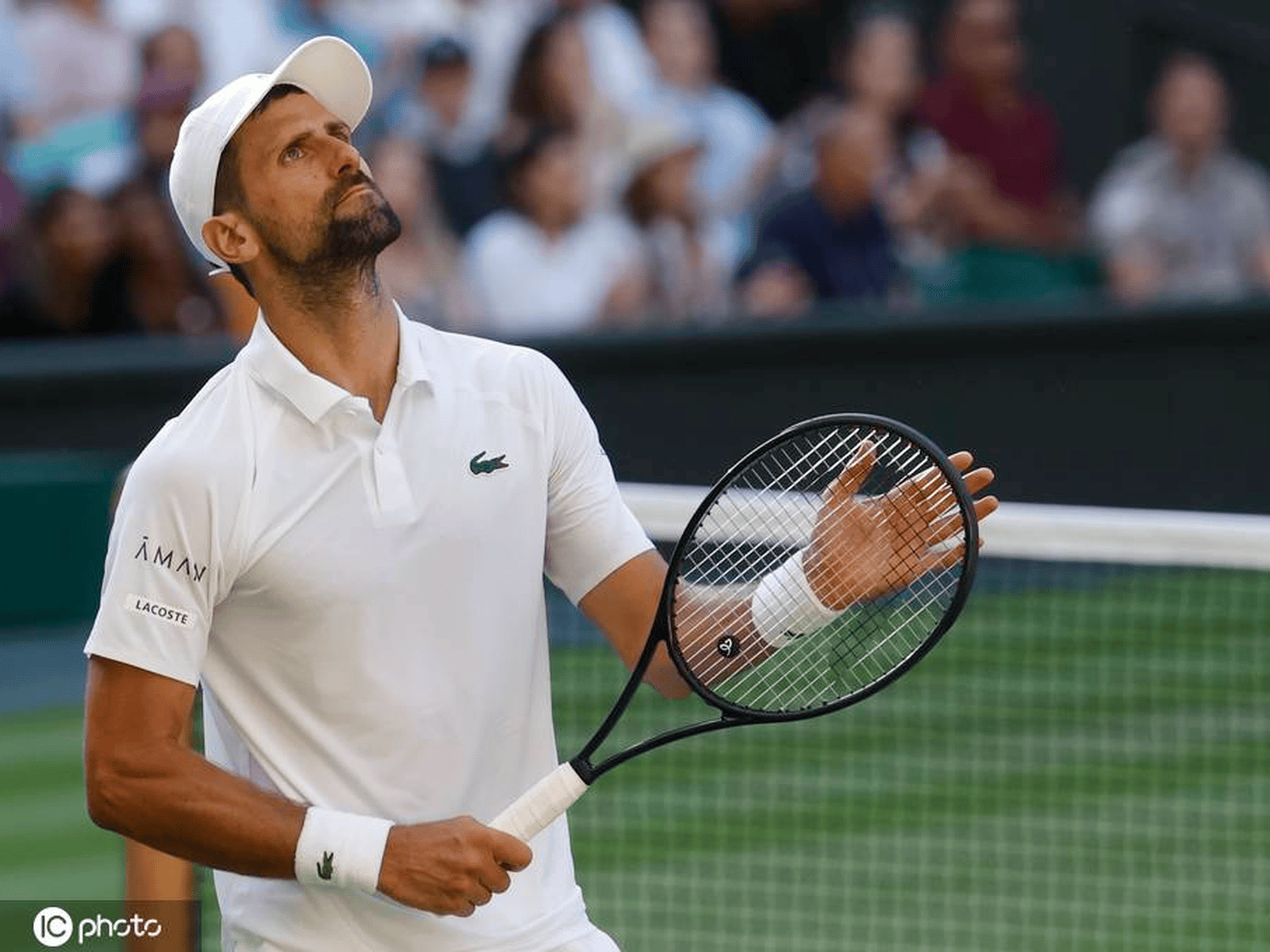 德约科维奇连续十五场比赛得分超过逆转，雄鹿挑战极限！的简单介绍